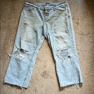 Express Distressed Light Blue Jeans